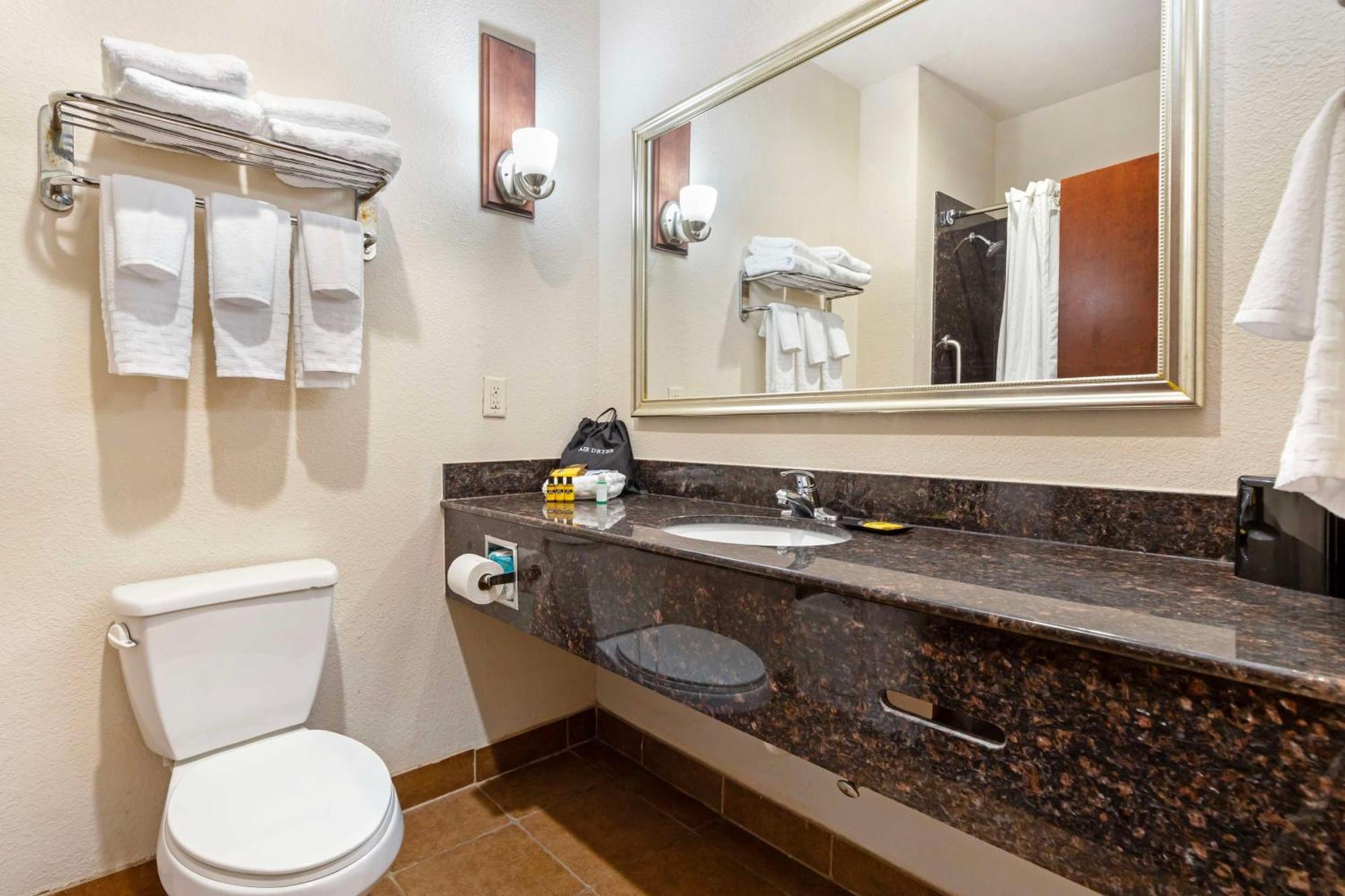 Best Western Plus Greenville South Piedmont Exteriér fotografie
